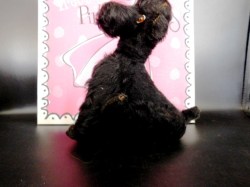 black steiff poodle side b